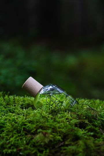 The Healing Power of Fragrance: A Journey Through Scent and Wellness