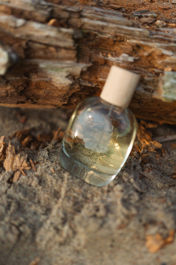 HARU_fragrance