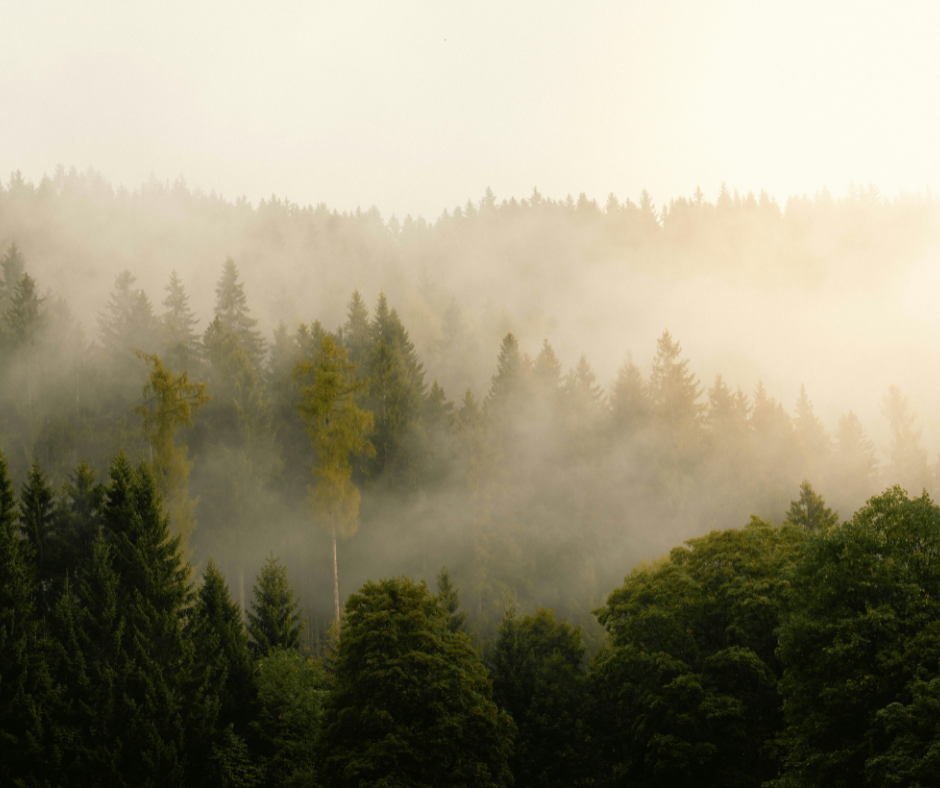 Create Your Own Space of Calm