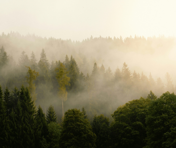 Create Your Own Space of Calm