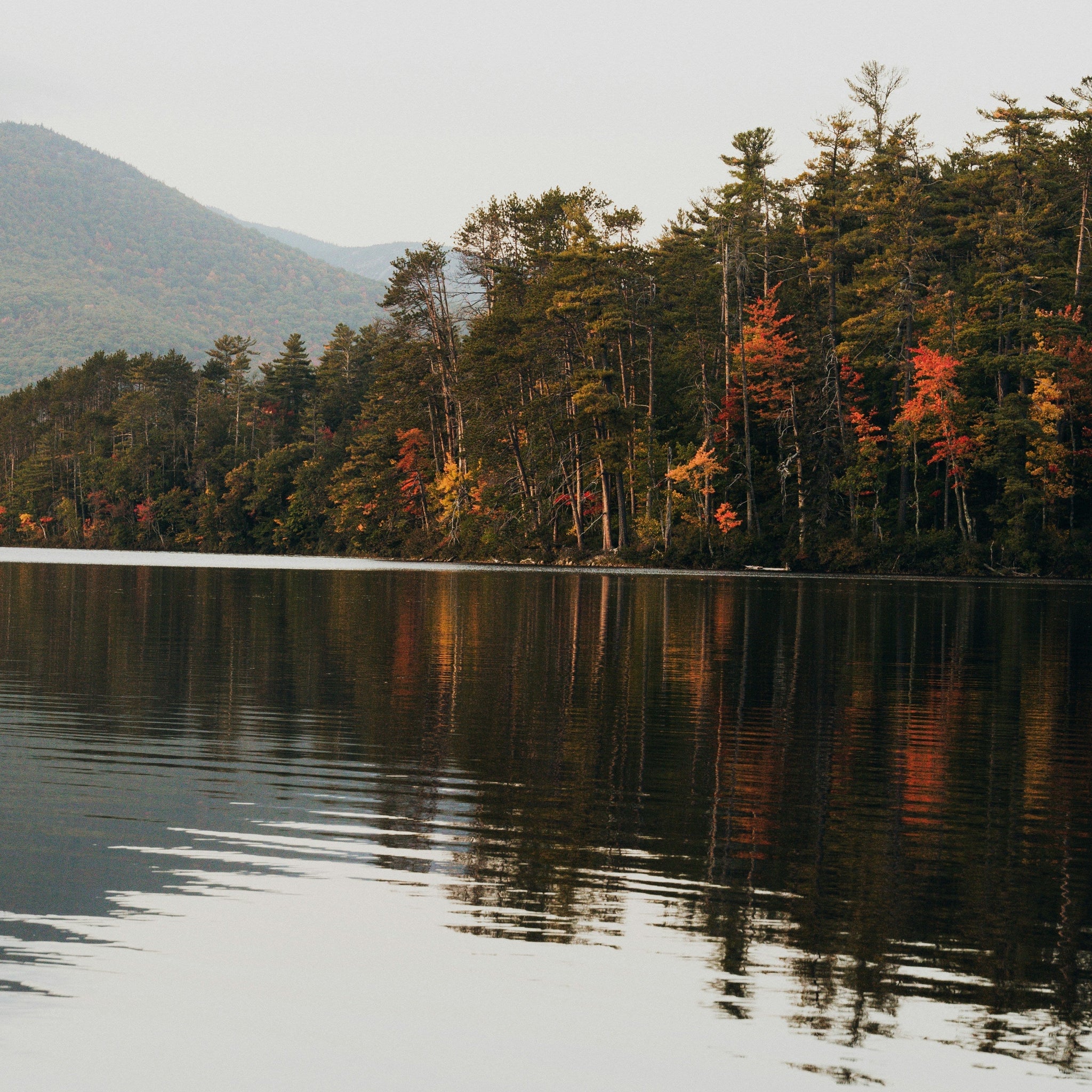 The Scent of Mindfulness: WA:IT Fragrances & Rituals for Daily Calm