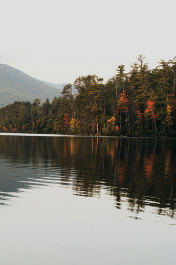 The Scent of Mindfulness: WA:IT Fragrances & Rituals for Daily Calm